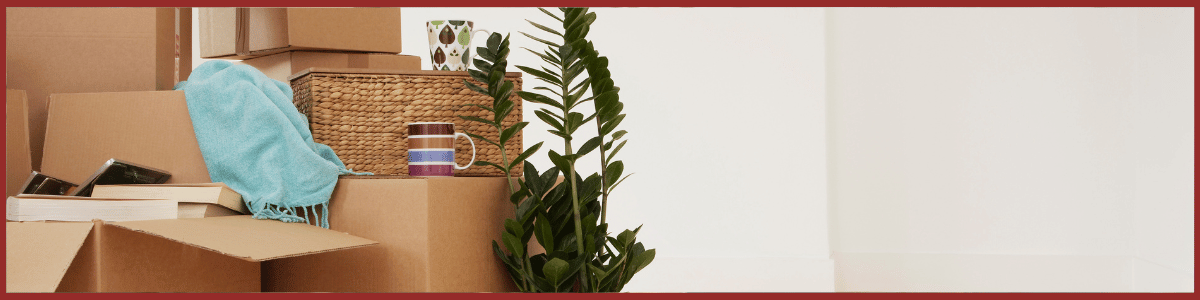 Embalagens para mudança